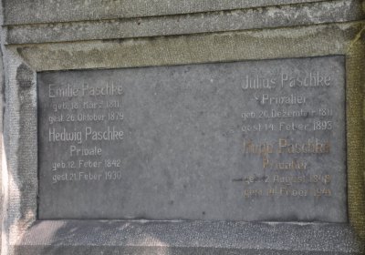 Teplice městský, Omnium, 2020