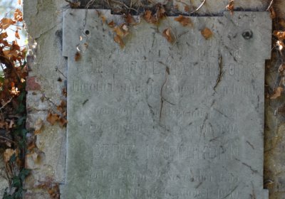 Teplice městský, Omnium, 2020