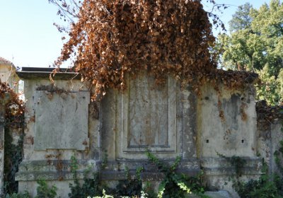 Teplice městský, Omnium, 2020