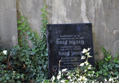 Teplice městský, Omnium, 2020