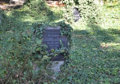 Teplice městský, Omnium, 2020