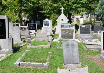 Teplice městský, Omnium, 2020