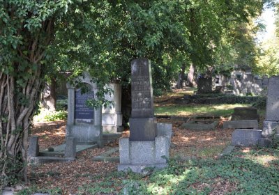 Teplice městský, Omnium, 2020