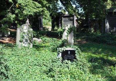 Teplice městský, Omnium, 2020