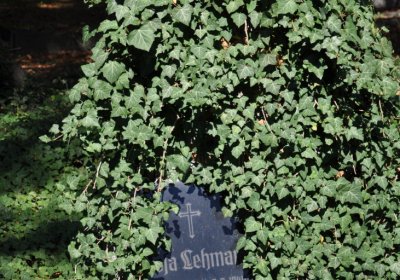 Teplice městský, Omnium, 2020