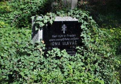 Teplice městský, Omnium, 2020