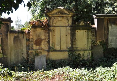 Teplice městský, Omnium, 2020