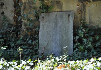 Teplice městský, Omnium, 2020