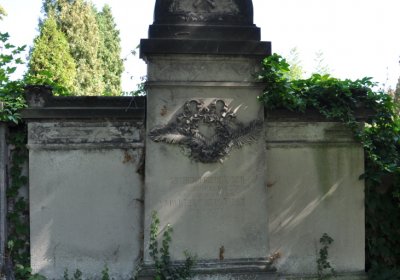 Teplice městský, Omnium, 2020