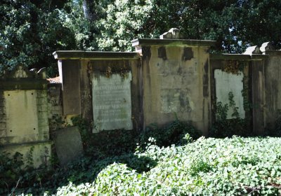 Teplice městský, Omnium, 2020