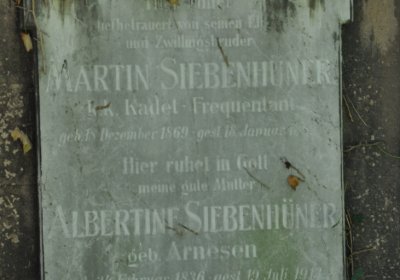 Teplice městský, Omnium, 2020