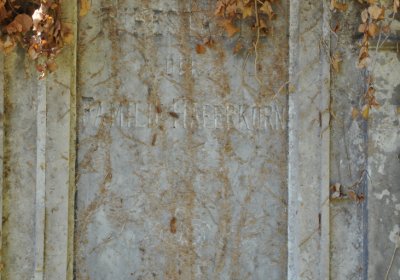 Teplice městský, Omnium, 2020