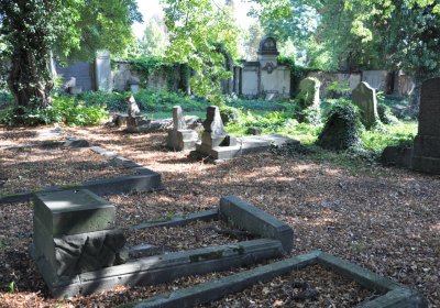 Teplice městský, Omnium, 2020