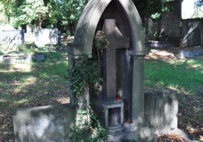 Teplice městský, Omnium, 2020