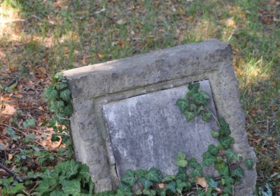 Teplice městský, Omnium, 2020