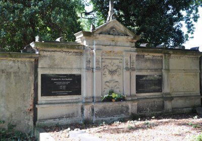 Teplice městský, Omnium, 2020