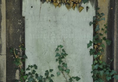 Teplice městský, Omnium, 2020