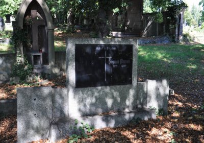 Teplice městský, Omnium, 2020