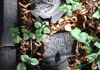 Teplice městský, Omnium, 2020