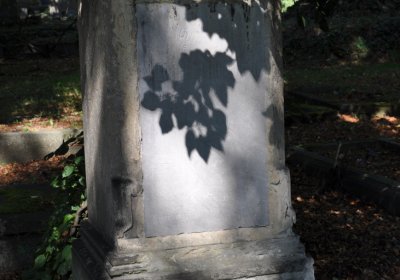 Teplice městský, Omnium, 2020