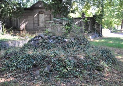 Teplice městský, Omnium, 2020