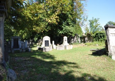 Teplice městský, Omnium, 2020