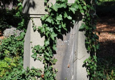 Teplice městský, Omnium, 2020