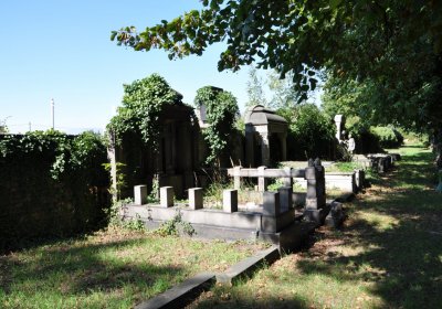 Teplice městský, Omnium, 2020