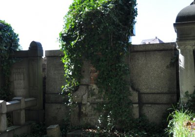 Teplice městský, Omnium, 2020