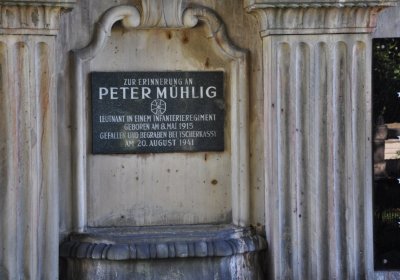 Teplice městský, Omnium, 2020