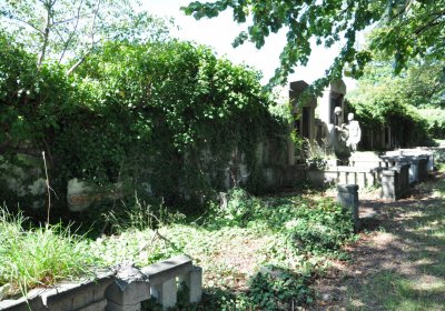 Teplice městský, Omnium, 2020