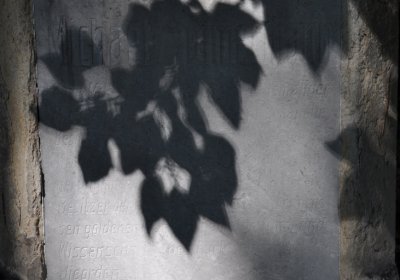 Teplice městský, Omnium, 2020