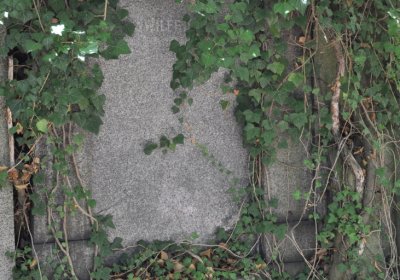 Teplice městský, Omnium, 2020