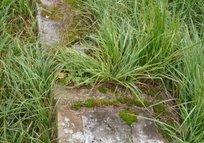 Omnium, 2020