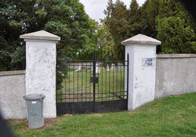 Vintířov, Omnium, 2020