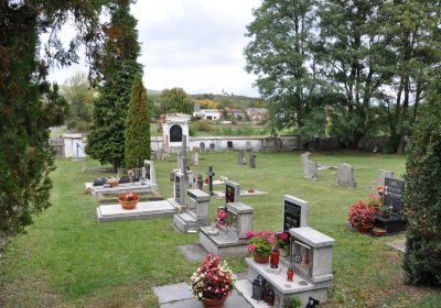 Vintířov, Omnium, 2020