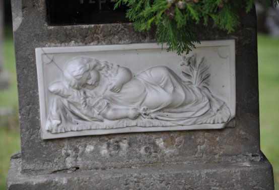 Vintířov, Omnium, 2020