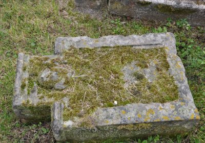 Vintířov, Omnium, 2020