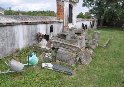 Vintířov, Omnium, 2020