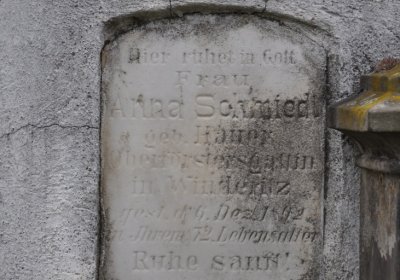 Vintířov, Omnium, 2020