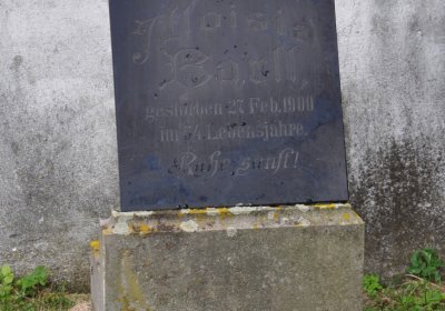 Vintířov, Omnium, 2020