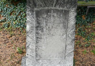 Vintířov, Omnium, 2020