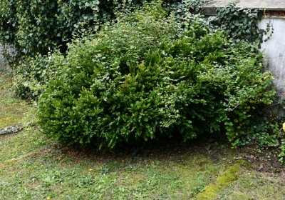 Vintířov, Omnium, 2020