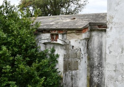 Vintířov, Omnium, 2020