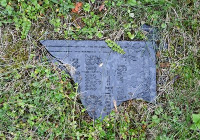 Vintířov, Omnium, 2020