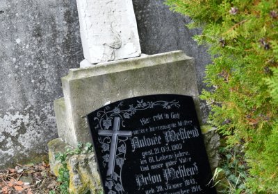 Vintířov, Omnium, 2020