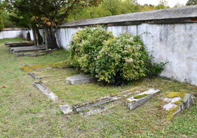 Vintířov, Omnium, 2020