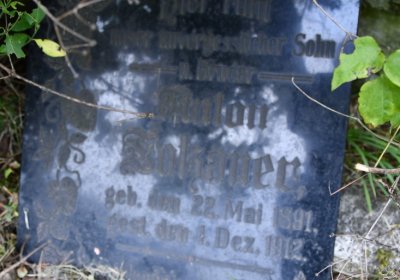 Vintířov, Omnium, 2020