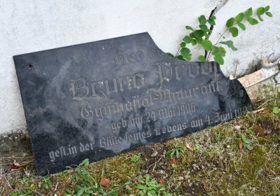 Vintířov, Omnium, 2020