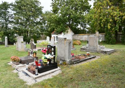 Vintířov, Omnium, 2020